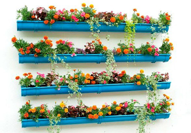 цветы на стене балкона