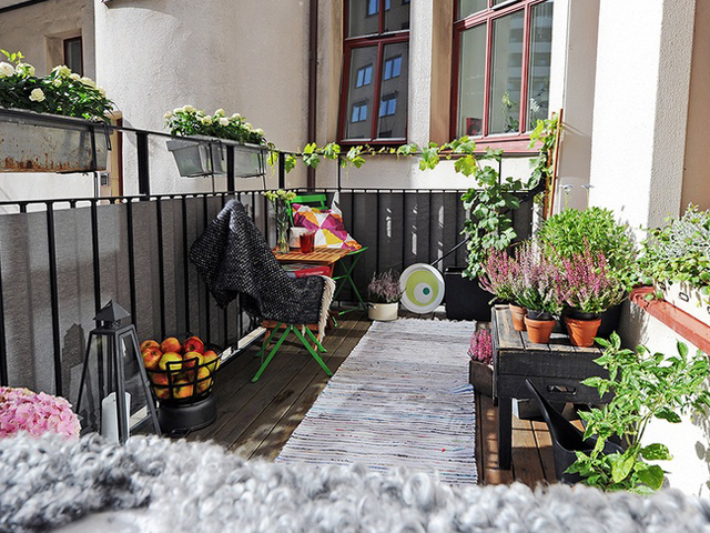 декорирование балкона цветами и растениями