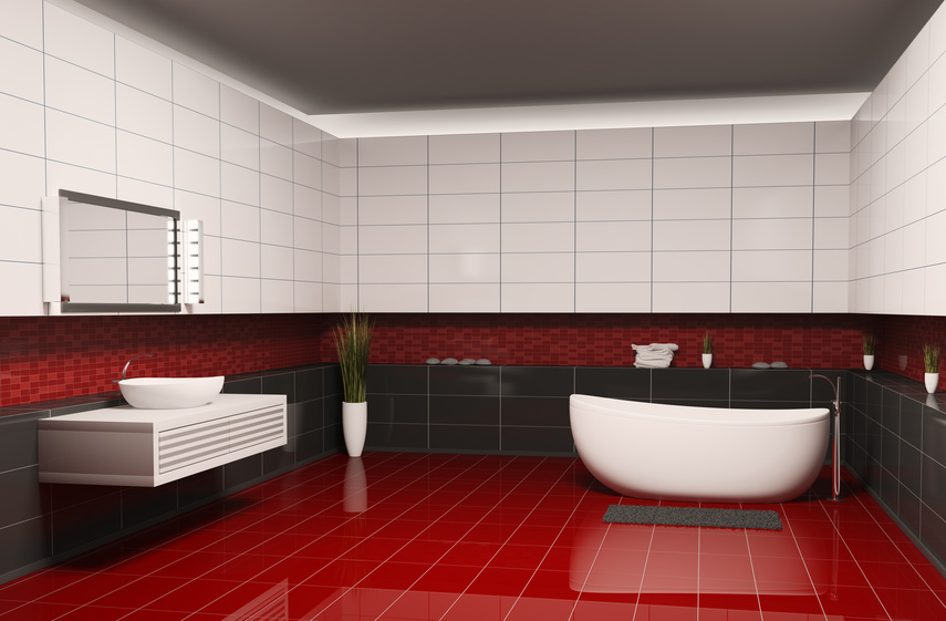 Bathroom with black white walls and red floor interior 3d